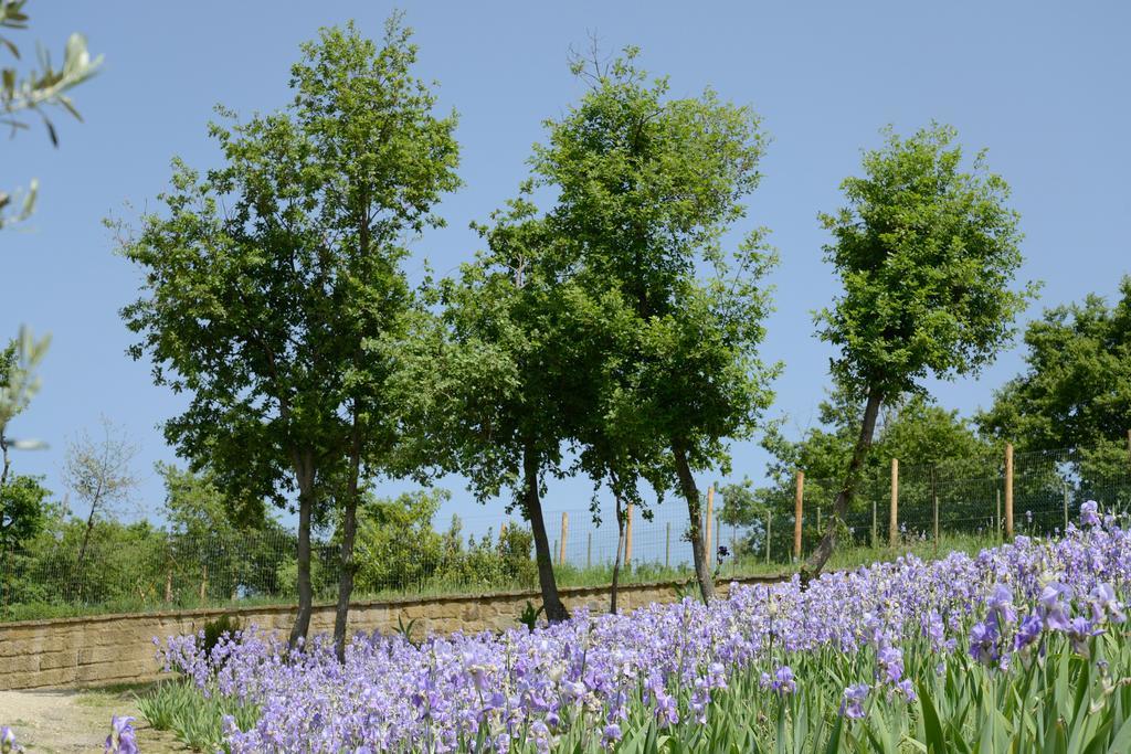 Agriturismo Villa Iris Castelfranco di Sopra Eksteriør billede
