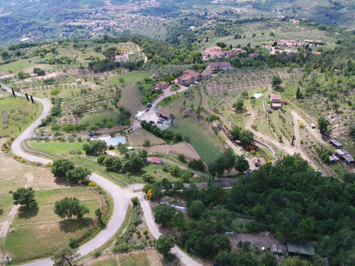 Agriturismo Villa Iris Castelfranco di Sopra Eksteriør billede